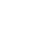 Logo white